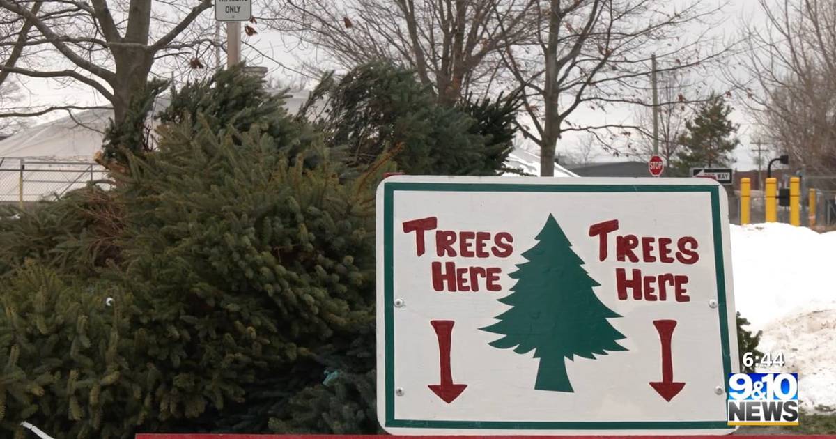 Your Christmas Tree Can Help Parks in the Traverse City Area 9&10 News