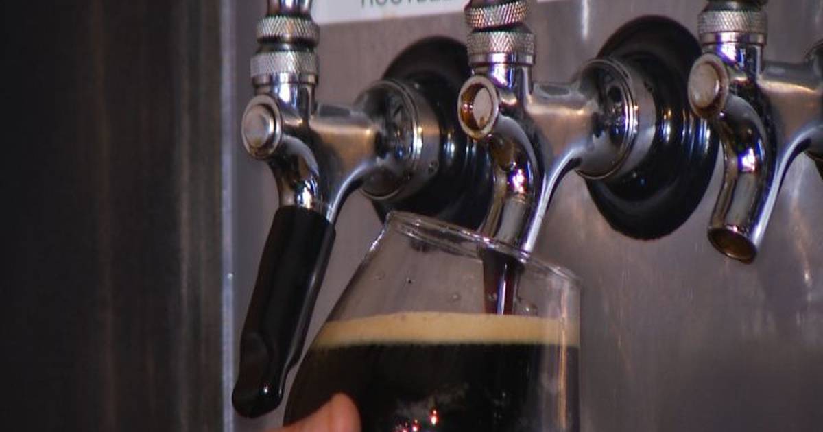 Reed City Beer Festival Is Back With Over 50 Beers 9&10 News